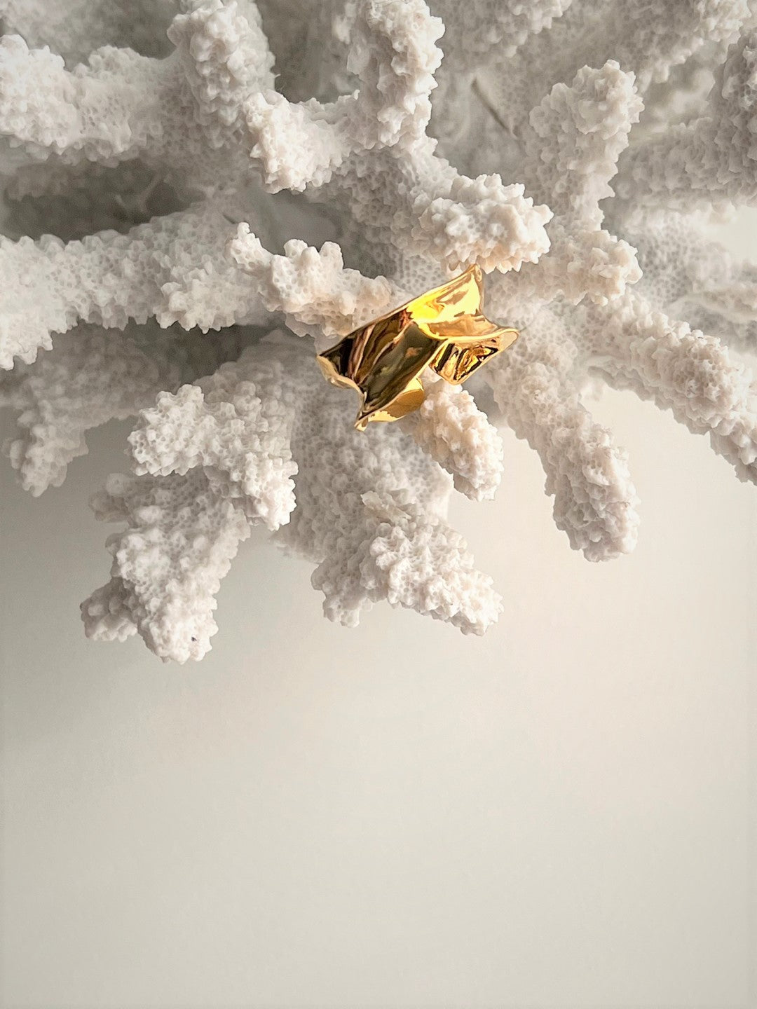 Lesbos Modern Chic Silver Ring