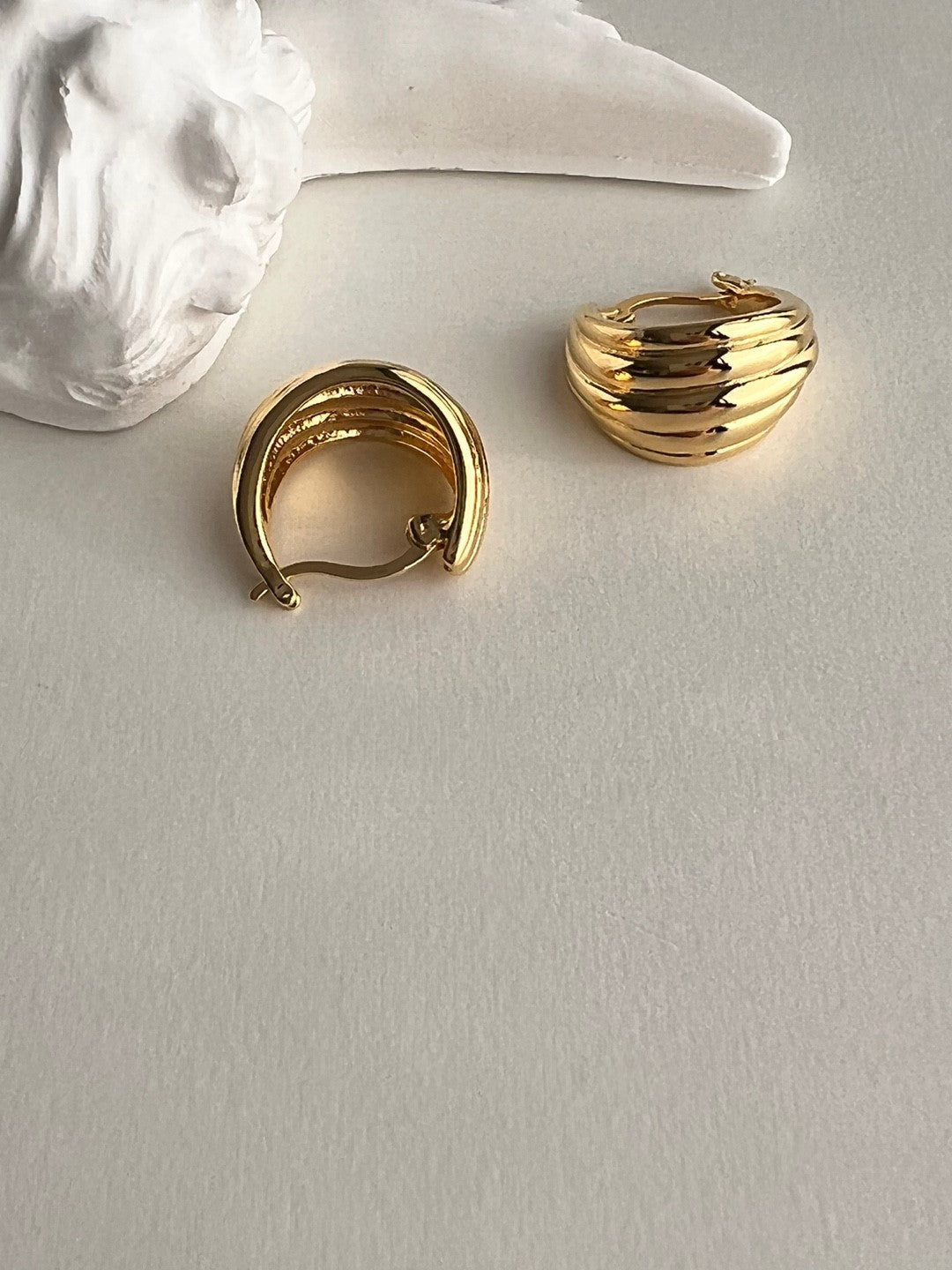 Sara Hoop Chic Earrings