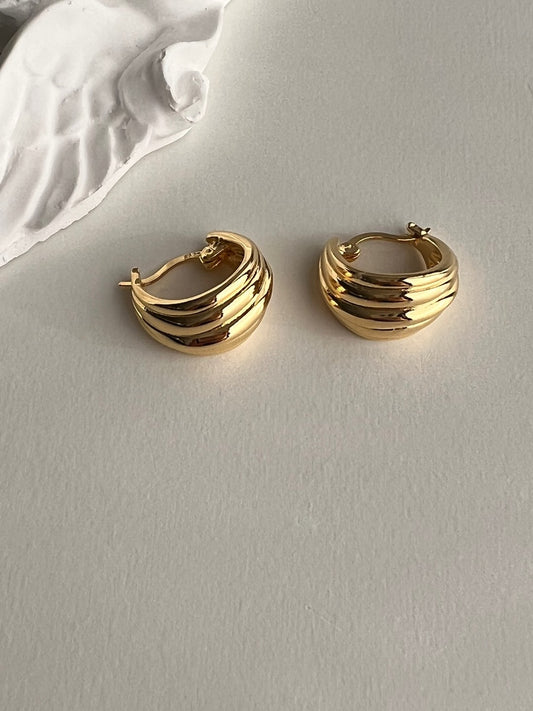 Sara Hoop Chic Earrings