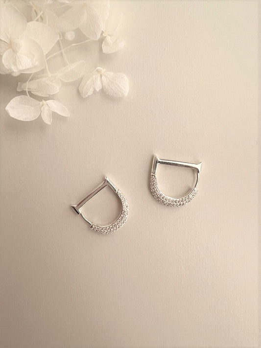 DD Sparkling Cubic Zirconia Earrings