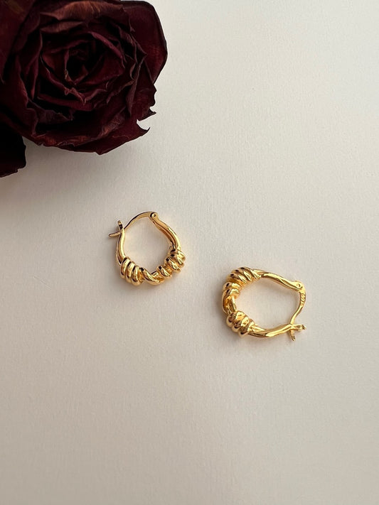 Billy Stylish Twisted Hoop Earrings