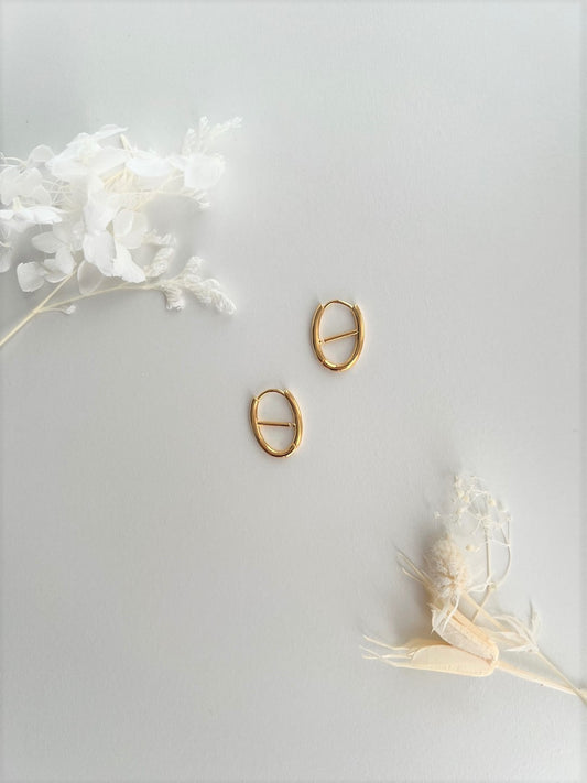 Ahe Pig Nose Chic Earrings